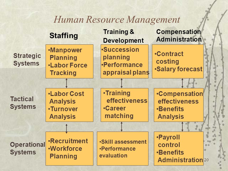 Five Components of a Human Resource Management System